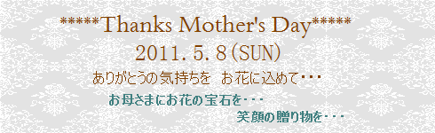 プリザーブドフラワーギフト　母の日